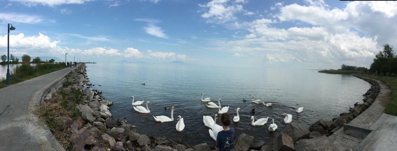 Villa Maximilian Balatonkeresztúr Zewnętrze zdjęcie