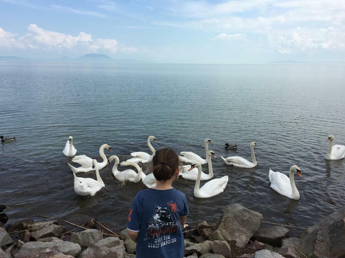 Villa Maximilian Balatonkeresztúr Zewnętrze zdjęcie